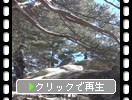 �ߤξ��綮��