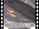 �ҵȡֿ����ʸ񤬱ˤ�����