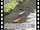 �縶�ֳ��ο�ϩ��ˤ��񤿤���