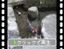 �縶�Ρָ񤿤����ˤ�����