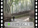 ����������Ӥ�ƻ�פȡֻ�������͡�