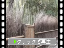 ����������Ӥ�ƻ�פȡ��ݻ������