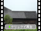 �����Ϸ�ޡֲ֤�Ϫ��¢�פγ���