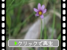 �դ���˺餤��¿������𤿤�