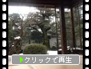 ����Ȭ�����ֲ��⤫�鸫�����������