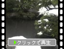 ����Ȭ������ɹ����������ӡ�