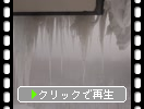 �ߤι⸶��ɹ��ȿ����