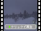 �����������㸶�ȳ���