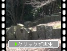 ����Τ�ơָ����סʤ������ҷ��ˡ�