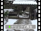ǽ��Ⱦ���̯�����������̾�������