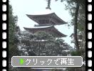 ǽ��Ⱦ���̯������̾�����फ�鸫������θ޽����