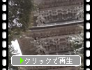 ǽ��Ⱦ���̯����������θ޽����