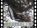 ǽ�ж�䡦������������ư���