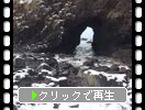 �ߤ�ǽ��Ⱦ�硦ǽ�ж�������δ����