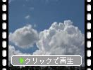 �Ƥα�����ƻ����