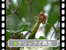 �����饹����ʱ����ˡ���ָ�λ�˼����㤤�м¤ء�