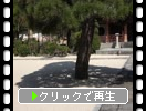 ʡ������ݡ�������ָϻ��塦����Ⱦ��αơ�