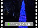 ���ġ������⻳�ֹ�ƻ��Υ���ߥ͡�������