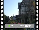 ��̶�ġֵ컰��������(���岽���Ȱ仺�ˡ�