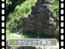 ���廳��θ���ë�����С������ס�