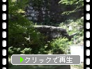 ���廳��θ���ë�����С����Ѥߤ������