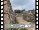 �Ƥ����ľ��ס�����������ˤ��г���