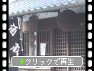 �Ƥ�������벼Į�ּ�¢���ȿ��̡�