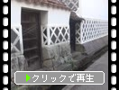 �Ƥ�������֤ʤޤ��ɤ��ѿ�γ��¤ߡ�