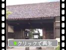 �Ƥ�������벼Į����Ϸ�ۡ��͹��ˤ��ѿ�θ��