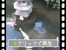 �Ƥ�������벼Į�ָ񤬱ˤ��������