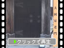 �Ƥ�������벼Į���粬��¿�դβ�Ϸ���