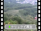 ŷ�黳���鸫���־�î�θ��ȥ����֥륫����