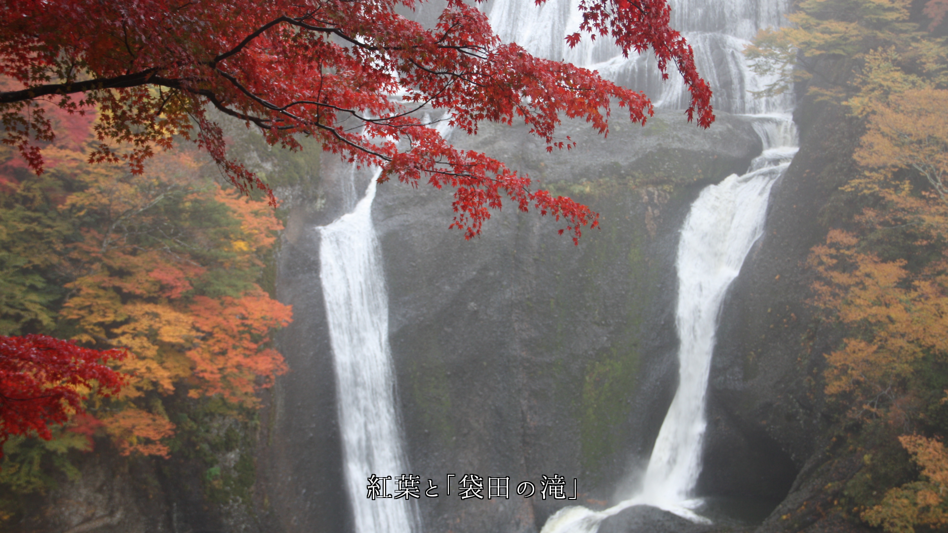 滝の白い筋に映える紅葉　共に美しさを　秋の風情を　高め合っている　
