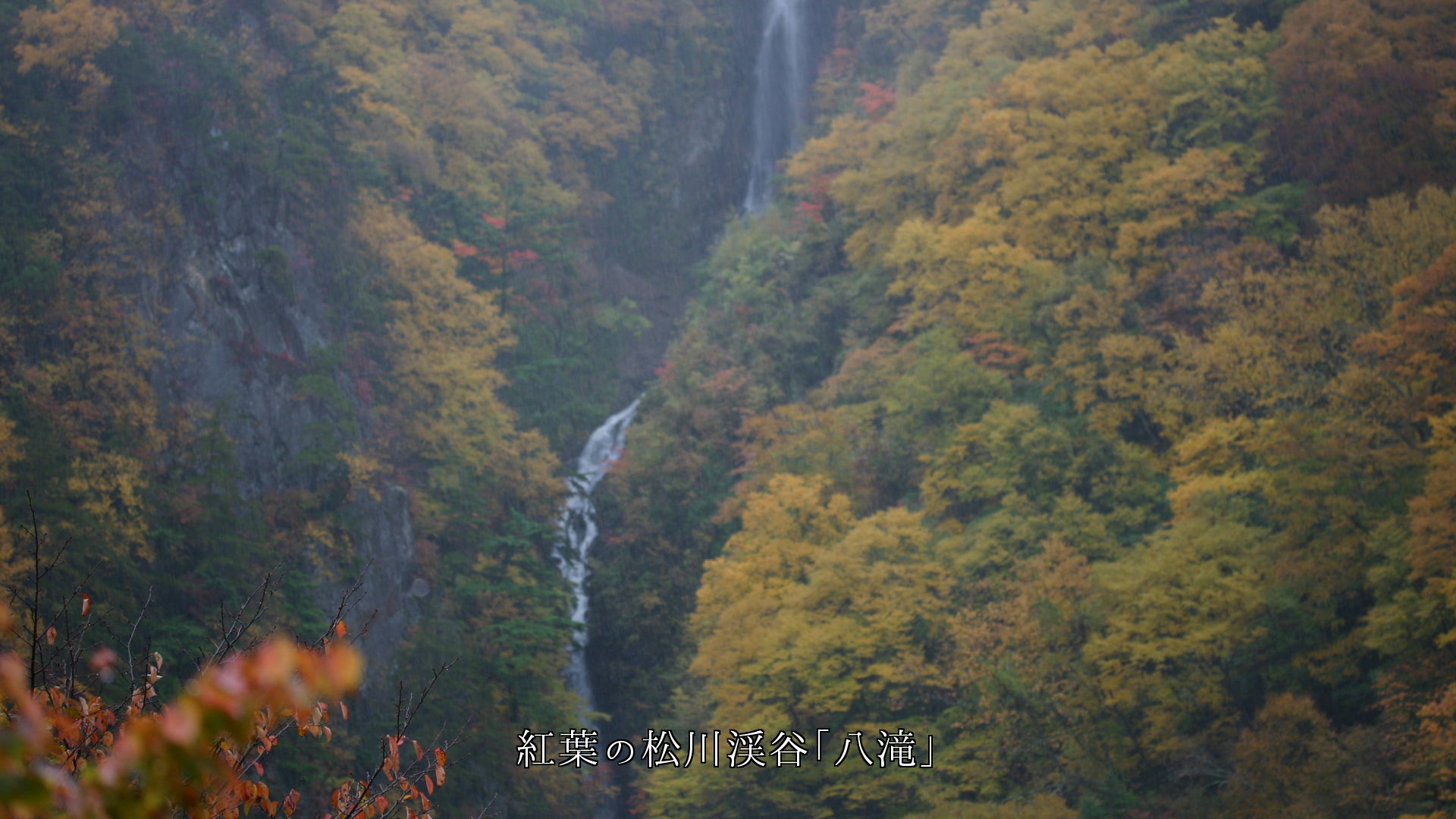 滝の白い筋に映える紅葉　共に美しさを　秋の風情を　高め合っている　
