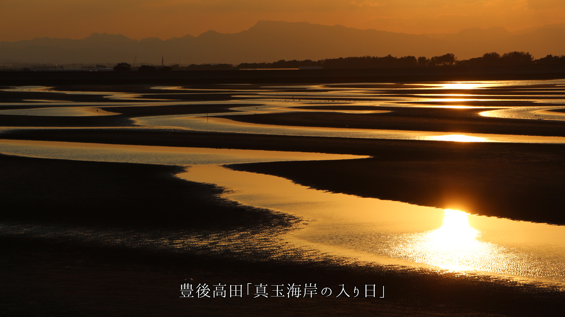 皆それぞれに 記憶に残る海岸や浜辺がある そして心の中で生き続ける