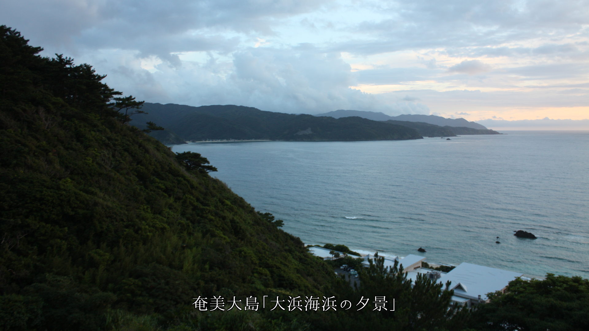 皆それぞれに 記憶に残る海岸や浜辺がある そして心の中で生き続ける