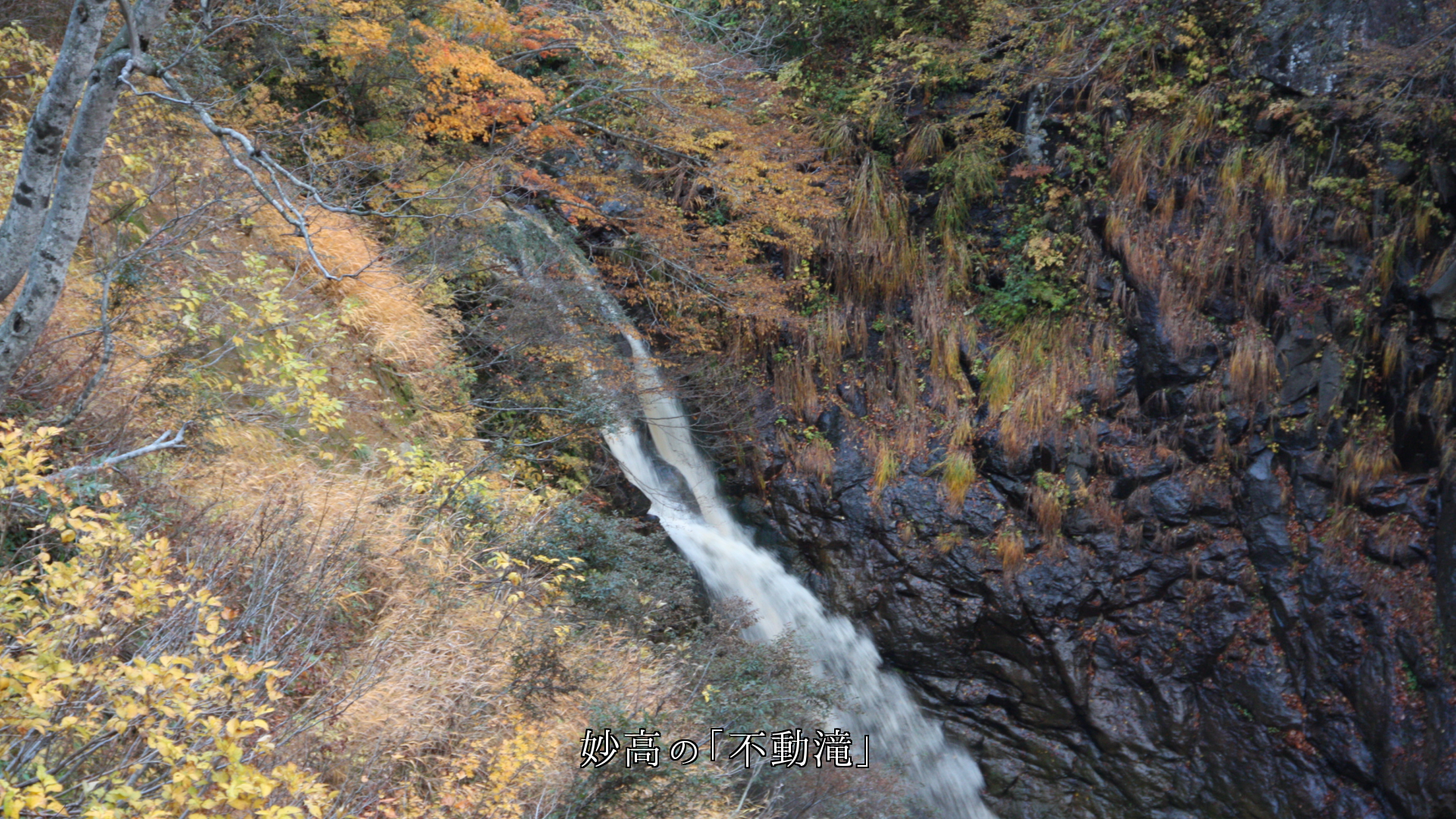 新緑と紅葉の彩りを伝える　各地の不動滝　滝を支え続ける岩も逞しい