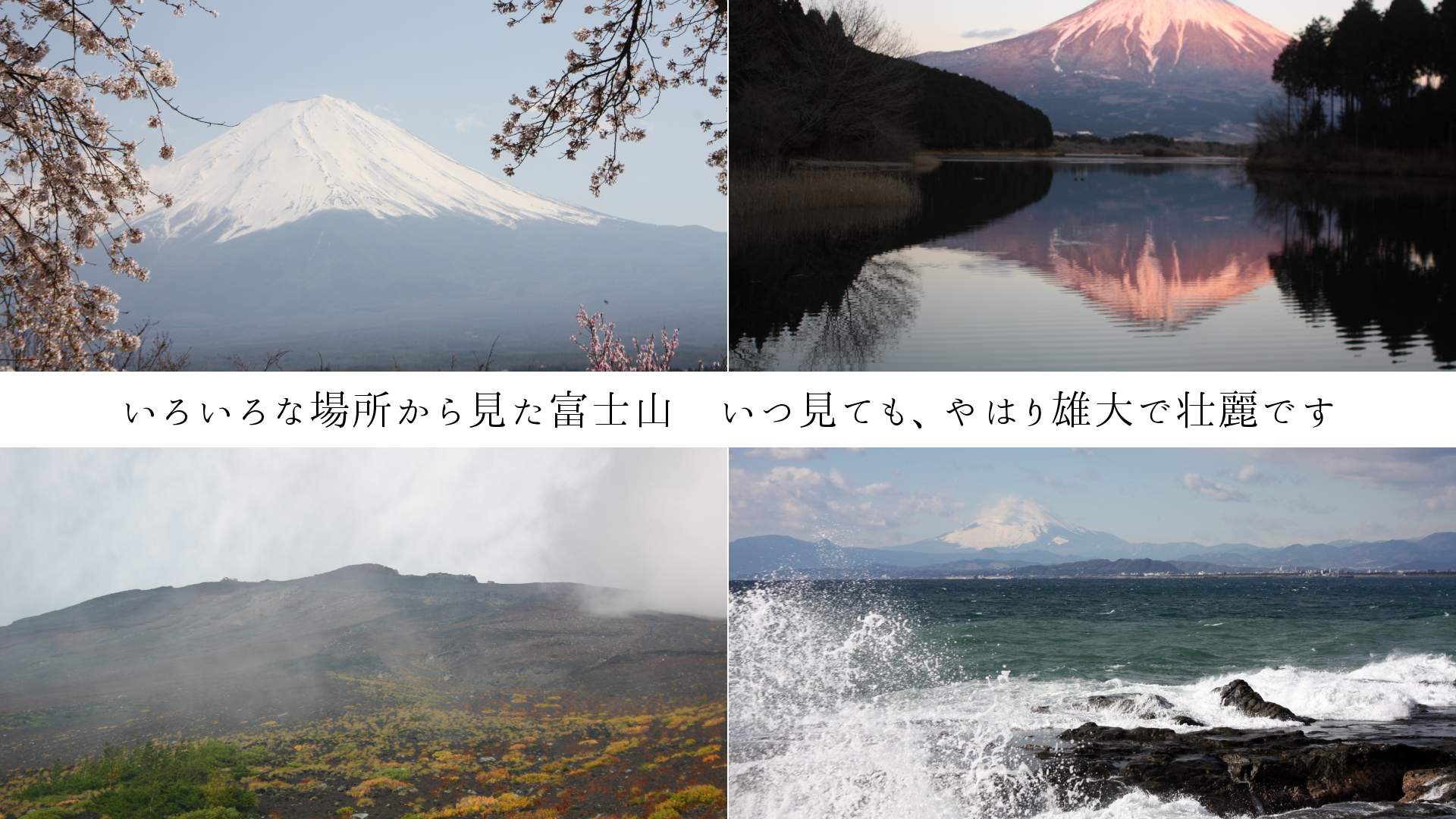 いろいろな場所から見た富士山　いつ見ても、やはり雄大で壮麗です