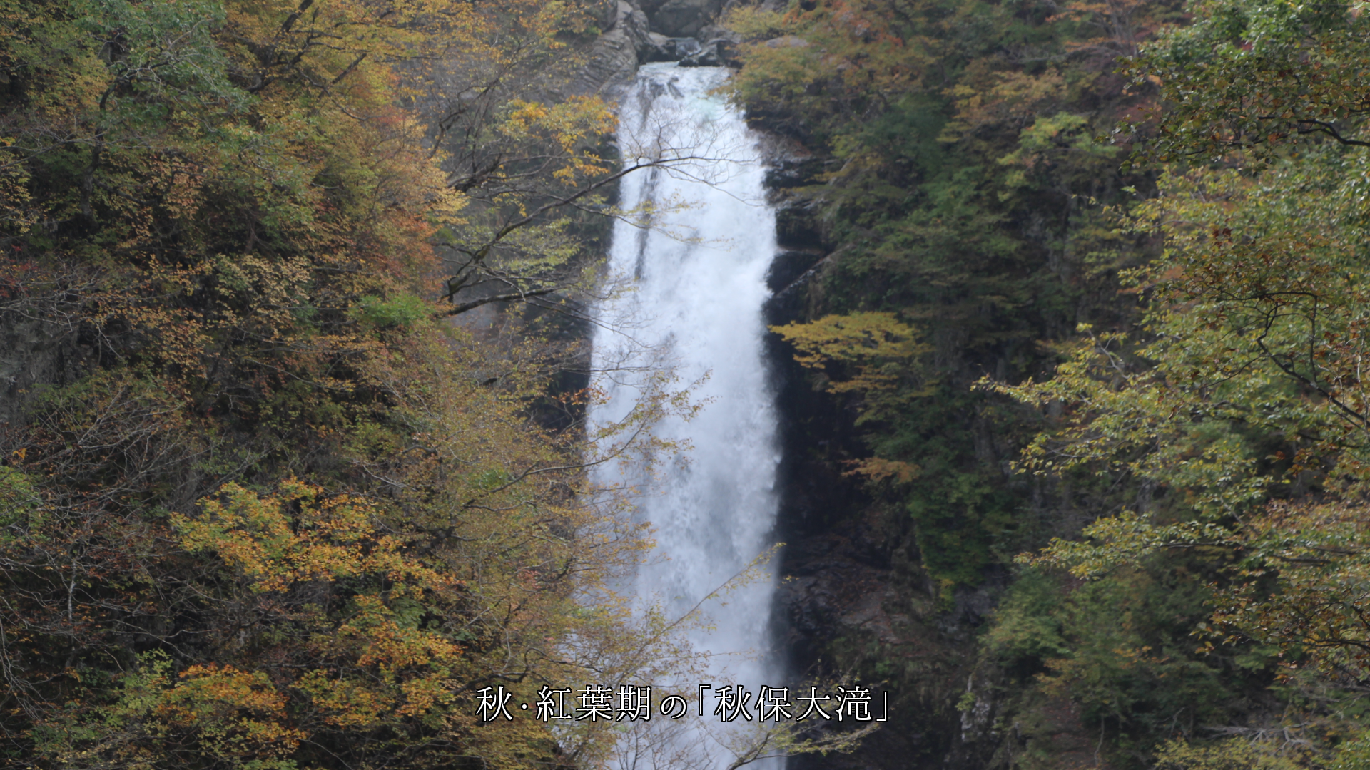 東北の「秋保大滝」　自然が創る四季に順応しつつ　流れ落ちる