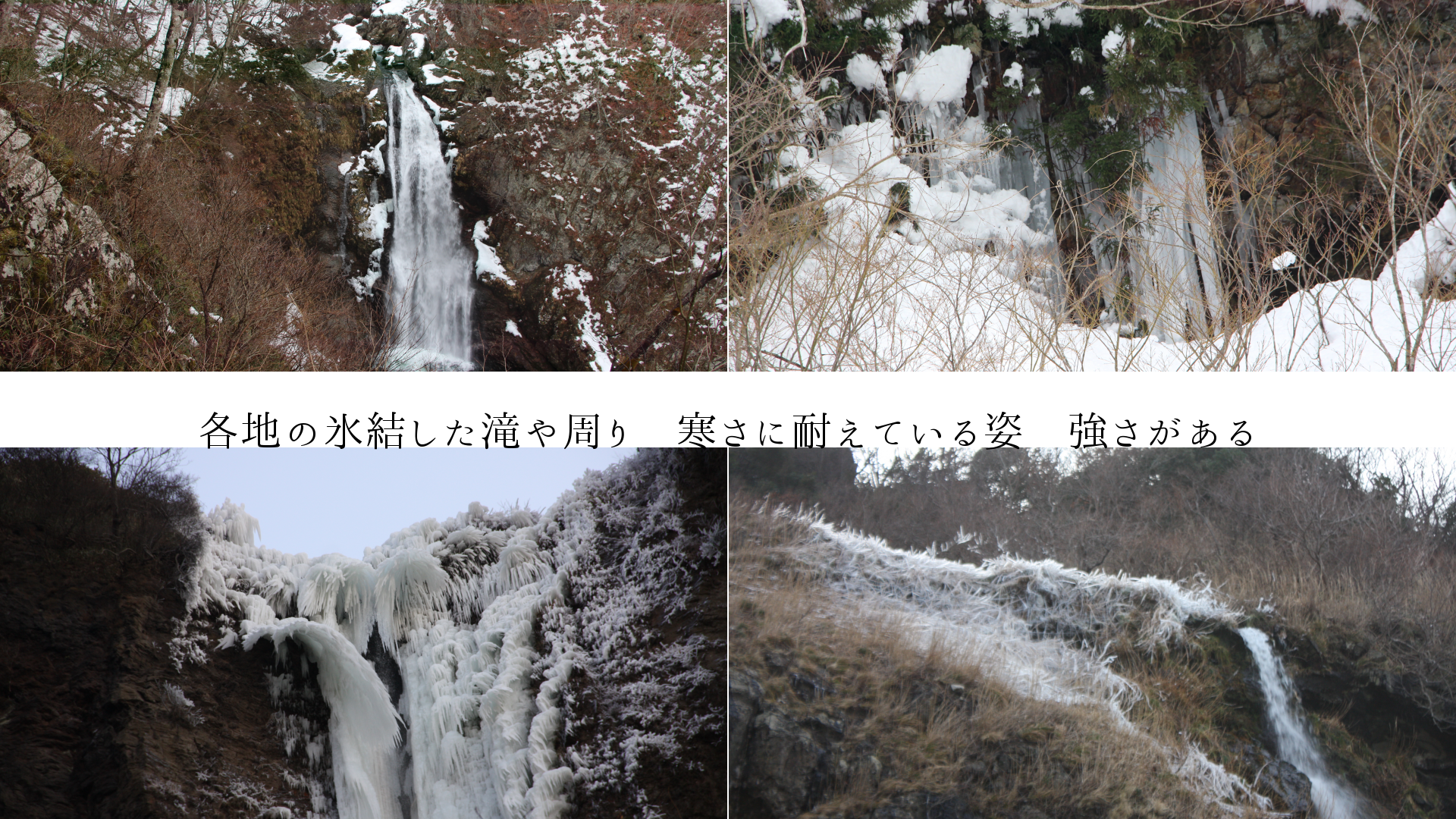 各地の氷結した滝や周り　寒さに耐えている姿　強さがある
　