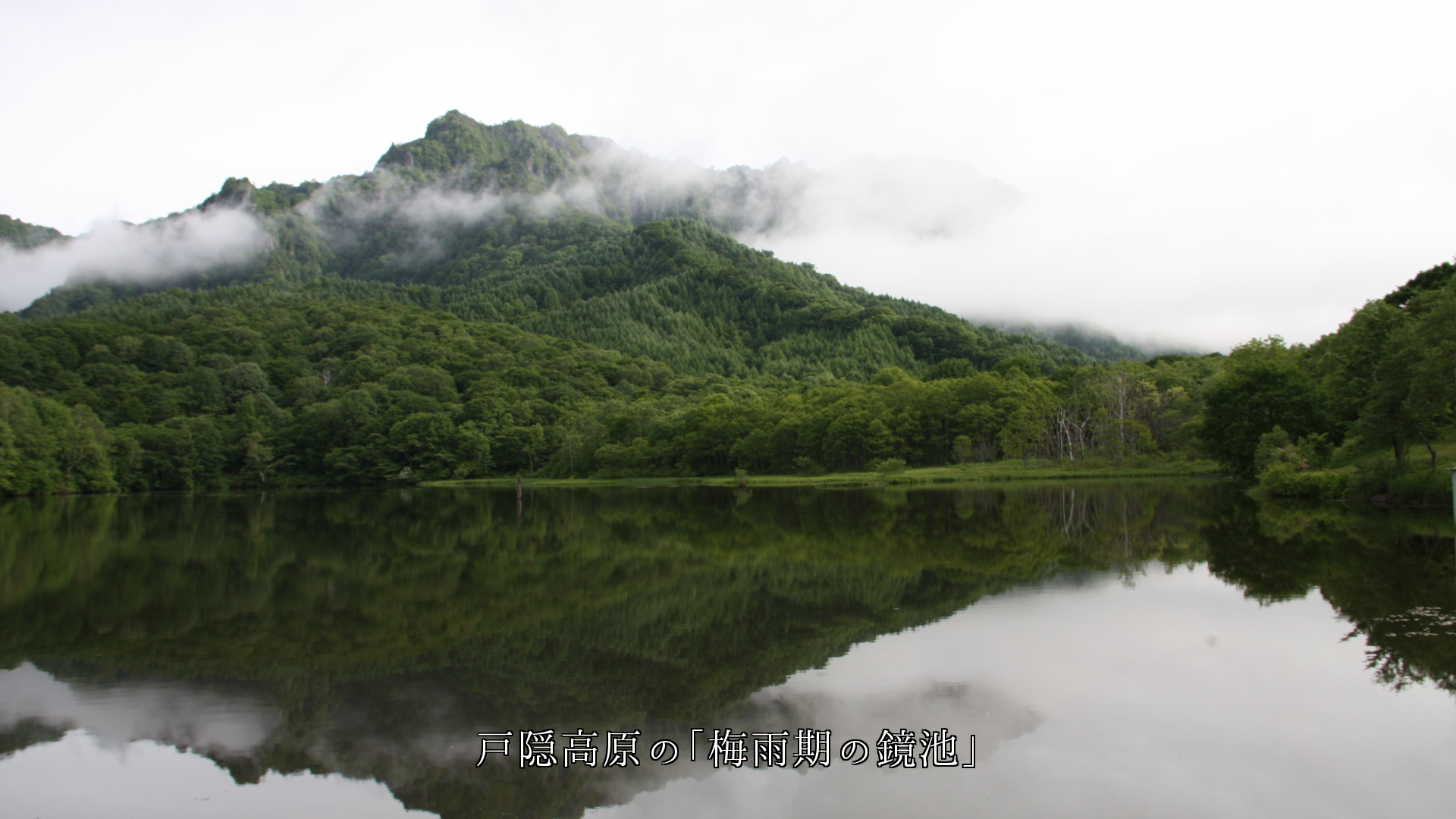 静かに眠る池　周囲の森も山霧も　水面に映る影も　穏やかです