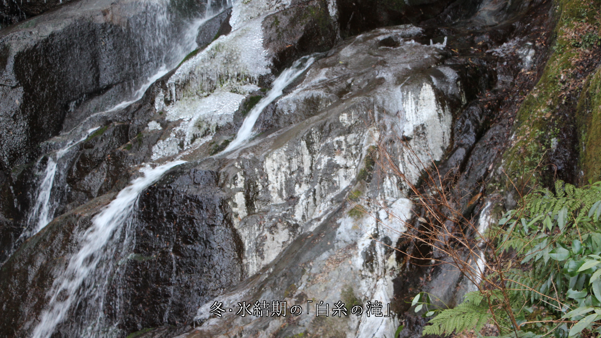 季節の流れとともに　糸島・白糸の滝は姿を変え　訪れる人々も変わる