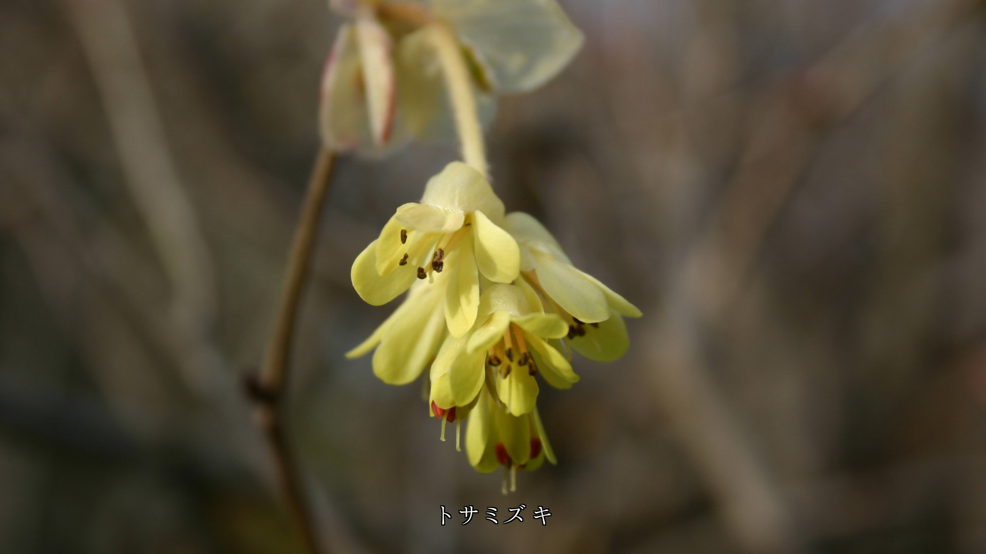 �ߤδ�����Ф� �դ�Ƥ֡������β֤�Ĥ����ڲ֤�������˾��Ϣ������