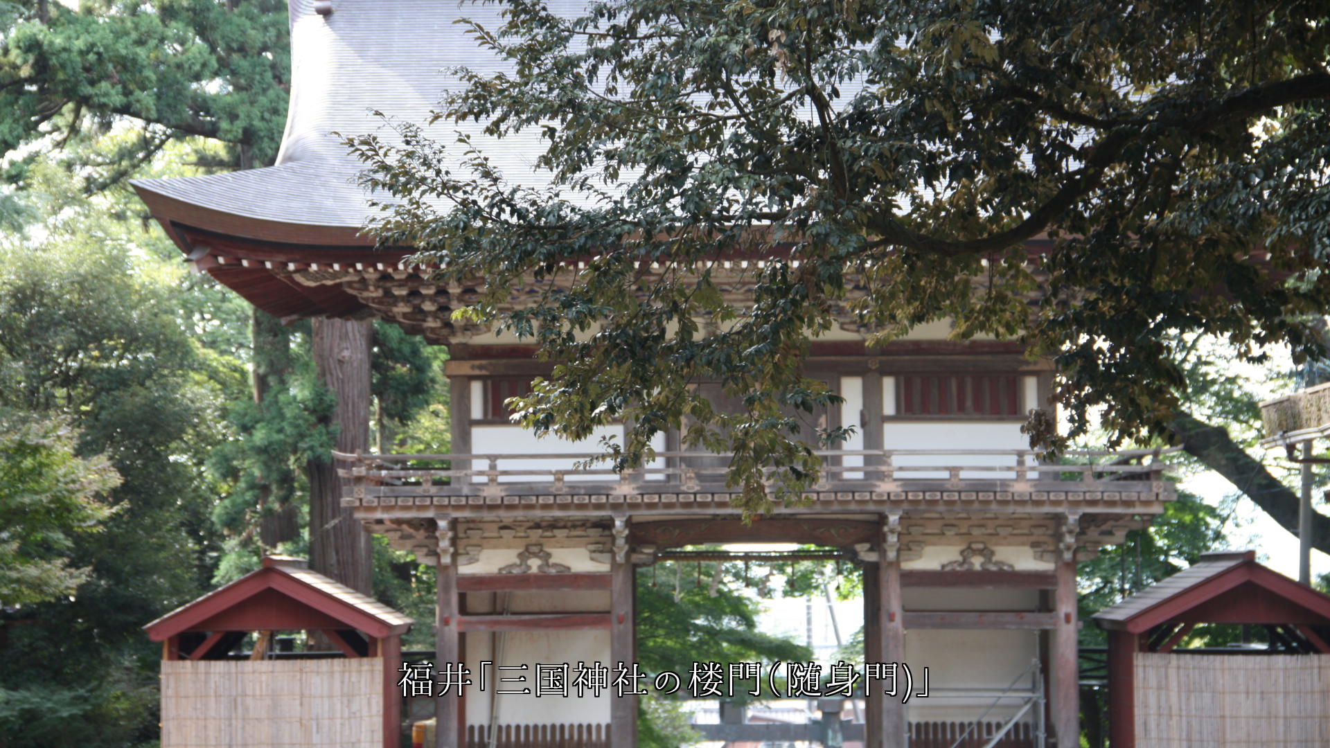 時代の歴史が詰まっている 神社の楼門 各地の文化も背負っている