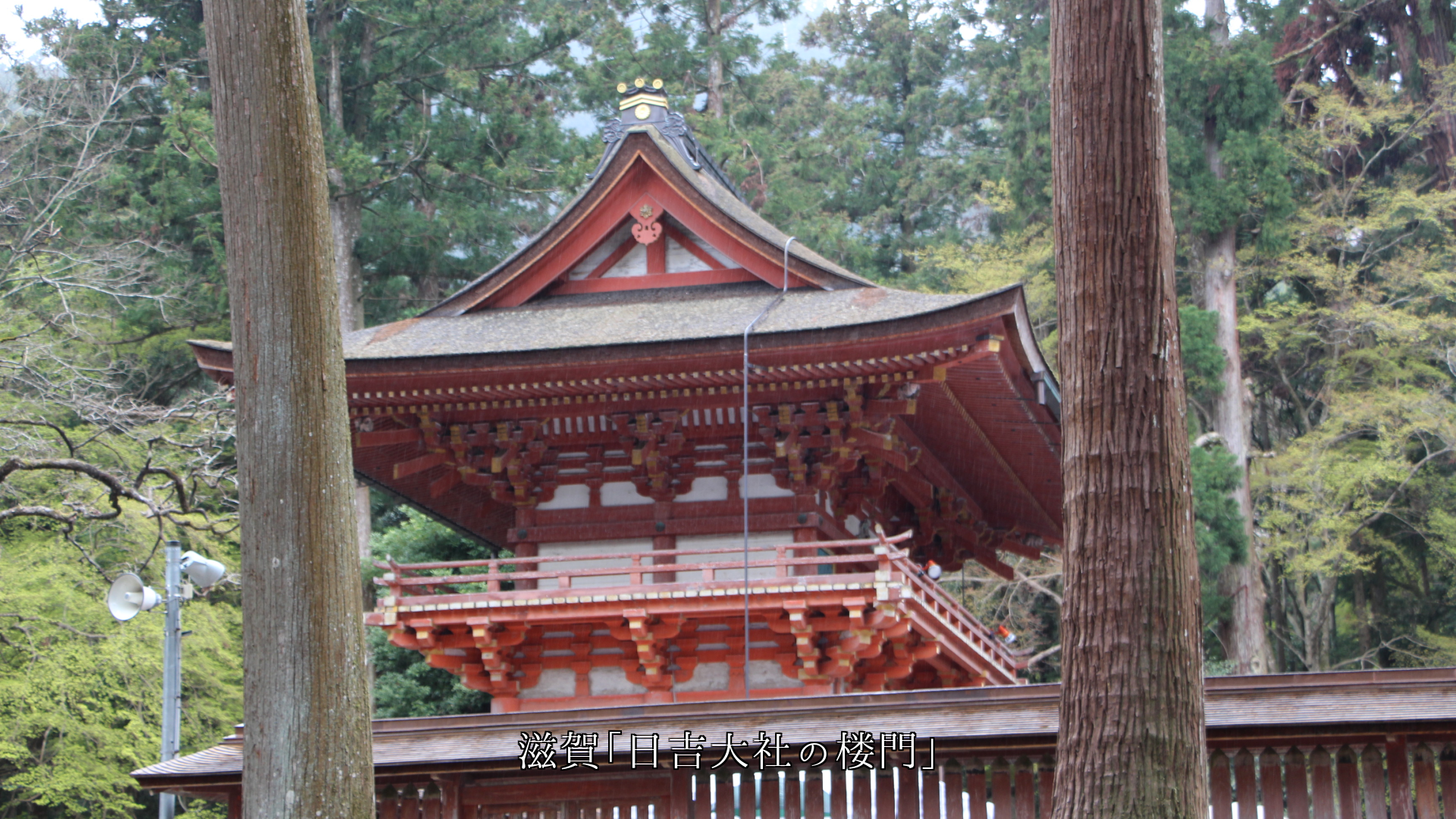時代の歴史が詰まっている 神社の楼門 各地の文化も背負っている
