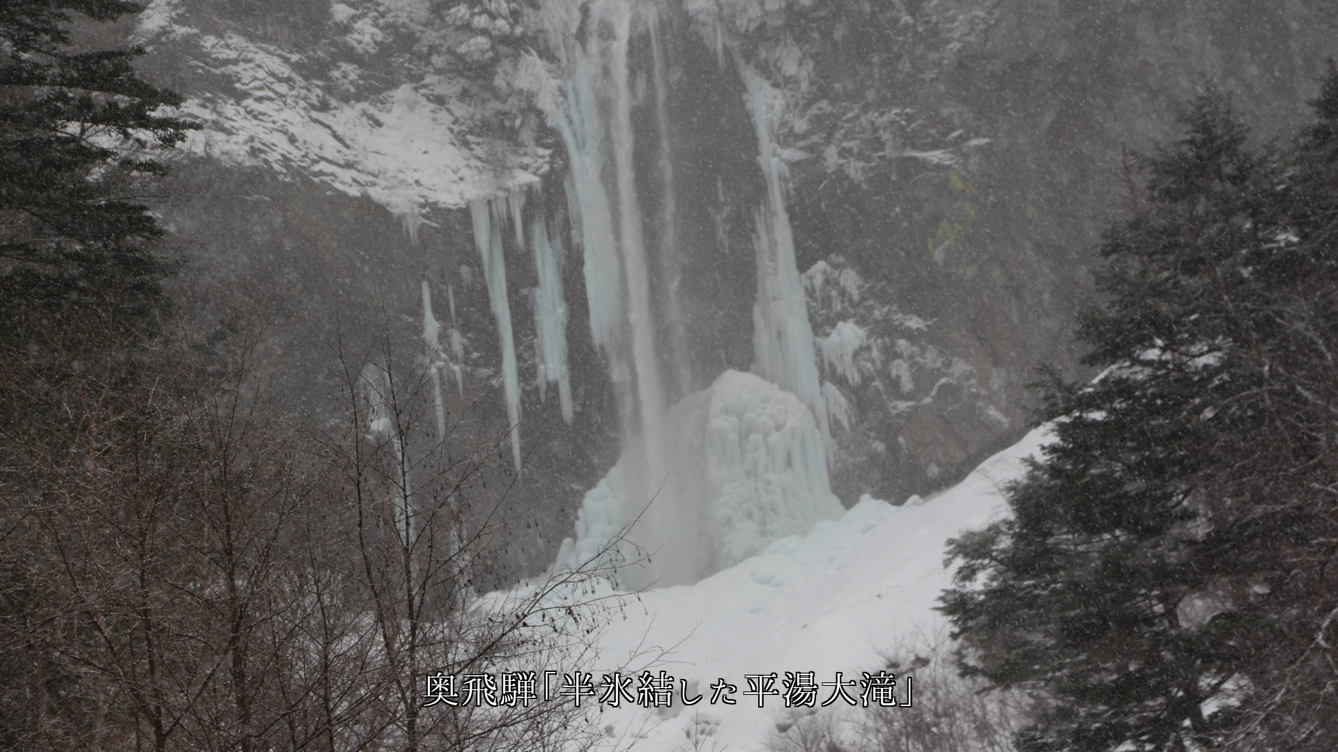 ɹ�뤷�����Ϥ��졡�鷺���ʿ��ή��⡡ȼ�äƤ��롡�դ��ԤȤ�