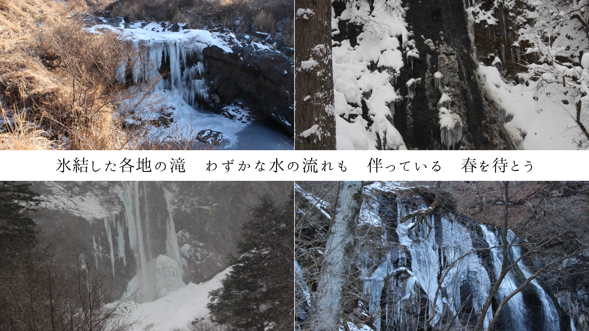 ɹ�뤷�����Ϥ��졡�鷺���ʿ��ή��⡡ȼ�äƤ��롡�դ��ԤȤ�