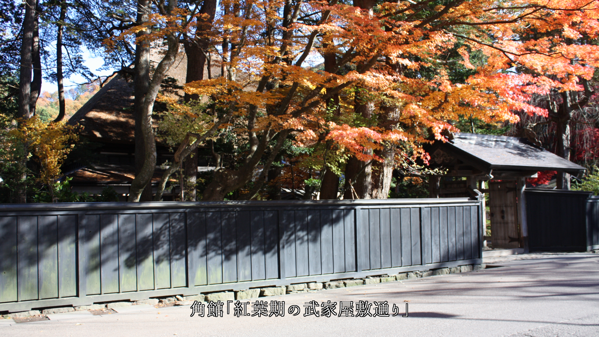 ���Ϥ����ڤ˹�ä���Ȳ��ߡ����Ѥ����⳰�ˡ��ۤȤ������ʤ�����