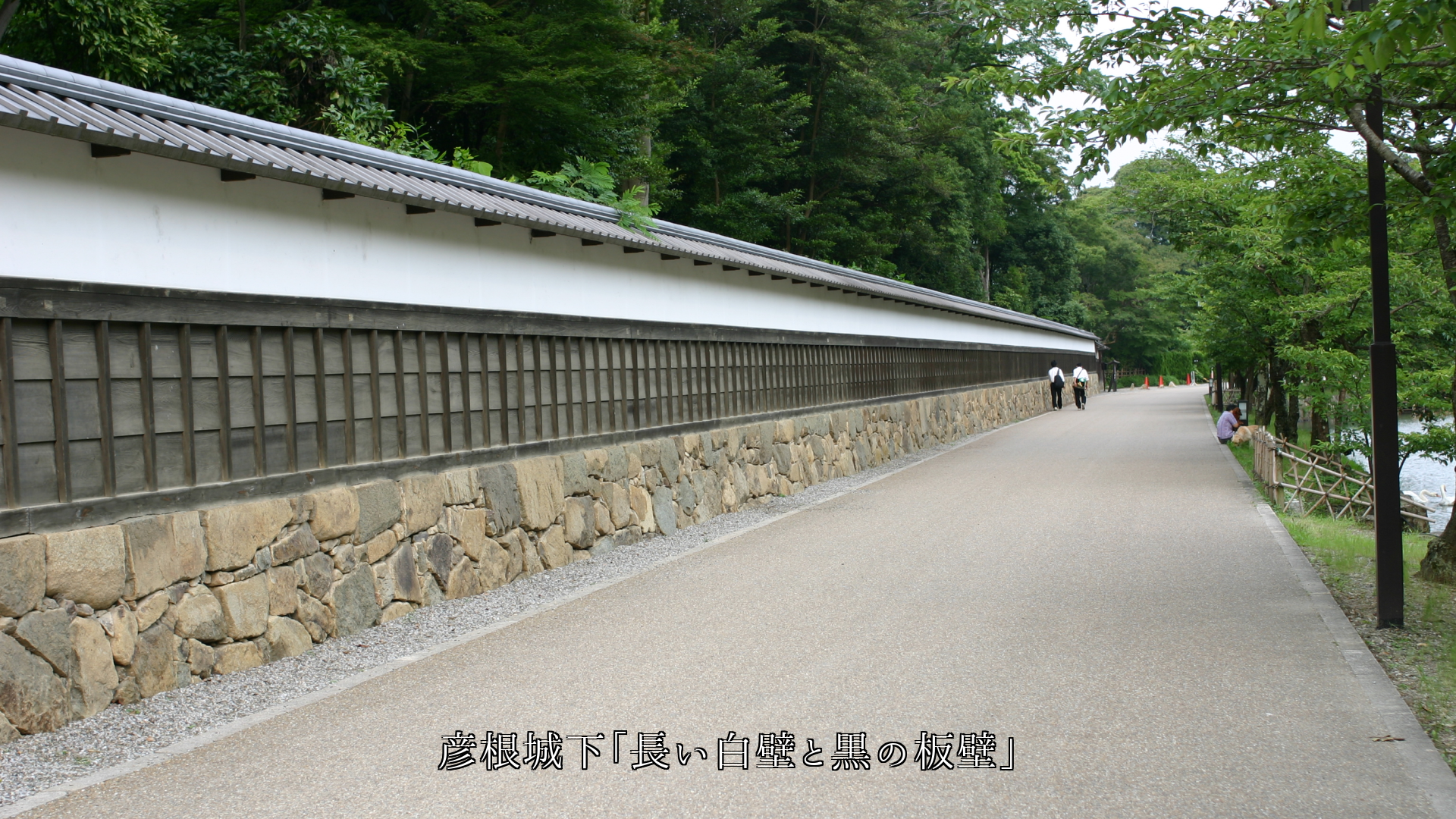 ���Ϥ����ڤ˹�ä���Ȳ��ߡ����Ѥ����⳰�ˡ��ۤȤ������ʤ�����