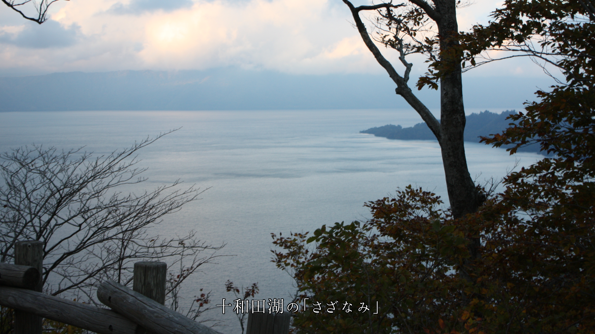 各地の湖沼の小波 メロディを奏でる様で 目と耳に優しい